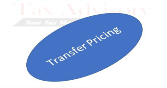 Transfer pricing policies & returns